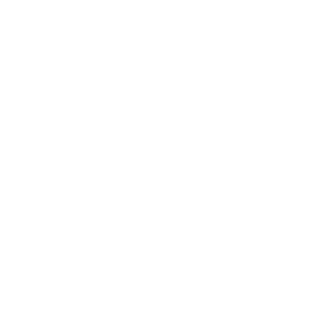 fuzion chery - share icon